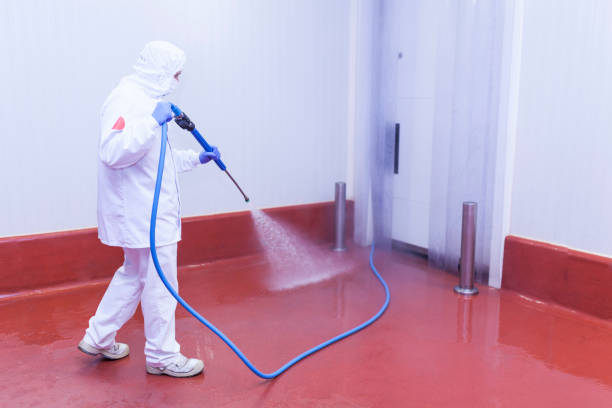 Pre-Holiday Cleaning in Manchester Center, VT